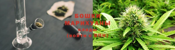 a pvp Аркадак
