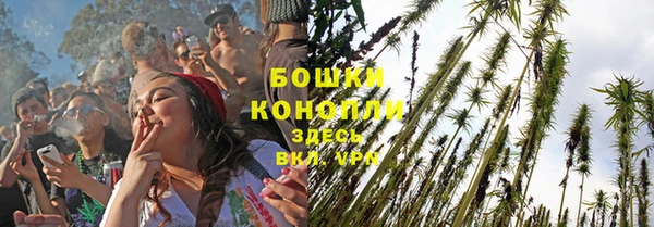 бошки Арсеньев