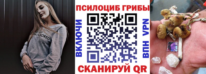купить  цена  Советская Гавань  Псилоцибиновые грибы Cubensis 